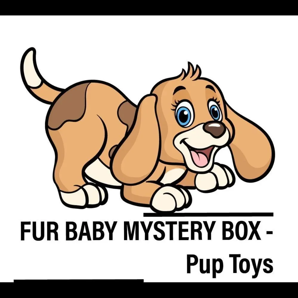 Pet Toys Mystery Box - Guaranteed 3 NWT Items